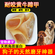 牛蹄壳狗狗零食磨牙棒骨头，磨牙小型犬幼犬小狗，玩具大型犬泰迪金毛