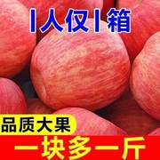 烟台栖霞苹果山东红富士冰，糖心苹果当季新鲜脆甜多汁，10斤3斤5