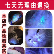 宠物医院伍德氏灯紫外线，手电筒动物皮肤犬，真菌检测工具猫癣藓狗癣