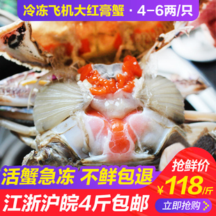 舟山野生大红膏蟹冷冻梭子蟹，海鲜水产特大海蟹海螃蟹全母