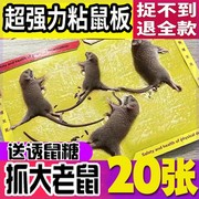 灭鼠粘板捕鼠器扑老鼠，贴超强力粘鼠板大老鼠，夹毯笼抓驱捉家用室内