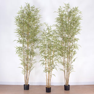 仿真竹子盆景北欧假竹子仿真富贵竹人造叉竹盆栽