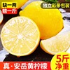 四川安岳黄柠檬(黄柠檬)5斤新鲜水果，奶茶店专用皮薄一级香水甜柠檬无籽青6