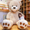 美国大熊公仔大号，2米抱抱熊毛绒玩具巨型泰迪，熊猫可爱布娃娃女生
