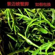 普洱茶区景迈山螃蟹脚老树野生茶纯天然寄生植物500g散装生茶散料