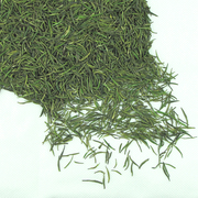 2024日照绿茶新春茶(新春茶)手工茶银针松针，特级板栗香型新鲜茶叶自产50g