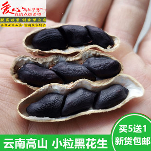黑花生带壳的黑皮花生云南老品种农家自种富硒花生米原味生的新货