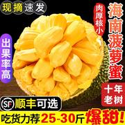 海南菠萝蜜新鲜一整个三亚特产红黄心波罗蜜，当季水果整箱