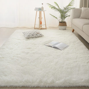 白色地毯卧室坐垫拍照纯色ins风，长毛毛绒毛毯地垫客厅飘窗床边毯