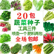 蔬菜种子四季播阳台农家盆栽生菜，菠菜韭菜香菜，草莓籽孑菜籽种大全