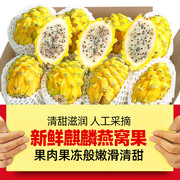 海南麒麟燕窝果，5斤当季新鲜黄皮白心火龙果，热带特产水果整箱