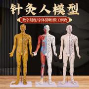 高档80cm超清晰经络n通针灸铜人人体，穴位模型中医针灸人体模型经