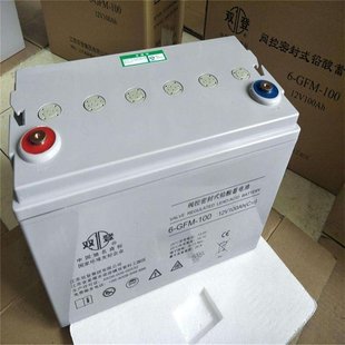 UPS电池双登6-GFM-100直流屏免维护铅酸蓄电池EPS12V100AH蓄电池