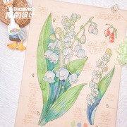 十字绣法国dmc绣线套件2020原创设计花卉系列，图鉴之铃兰