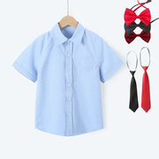 男童蓝色短袖衬衫小学生表演出班服儿童翻领半袖纯棉衬衣夏季薄