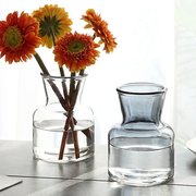 欧式家居装饰北欧玻璃花瓶摆件，客厅餐桌摆设水培，植物透明干花花瓶