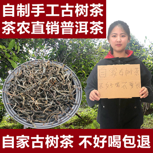 百年古树纯料普洱茶生茶散茶云南茶农手工茶叶非冰岛班章茶500g