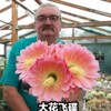 进口仙人球毛花柱(毛花柱，)彩草实生大花品种，多肉植物室内防辐射易养盆栽