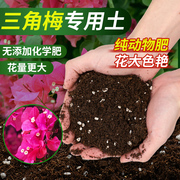 三角梅专用营养土开花专用土花土盆栽土壤，肥料泥土种植土有机肥料