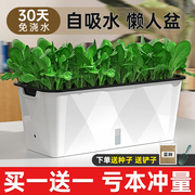 吸水花盆家庭阳台，种菜盆专用箱水培蔬菜，种植箱菜架子塑料懒人花箱