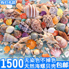 鱼缸天然贝壳海螺海星创意造景珊瑚卷贝鱼水族箱寄居蟹装饰品套餐
