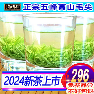 2024年新茶湖北茶叶头采嫩芽绿茶，宜昌高山栗(高山栗)香，五峰芽毛尖500g