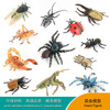 34种昆虫模型仿真蜘蛛天牛螳螂蝴蝶甲虫蚂蚁蝎子蝙蝠动物儿童玩具