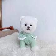 狗狗宠物猫咪秋冬粉色蕾丝花边领华夫格泰迪比熊针织开衫毛衣