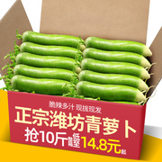 正宗潍坊青萝卜10斤山东特产5潍县水果萝卜新鲜蔬菜沙窝萝卜