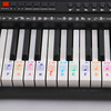 彩色钢琴键盘贴纸 钢琴键盘贴 88键钢琴贴纸 电子琴钢琴贴