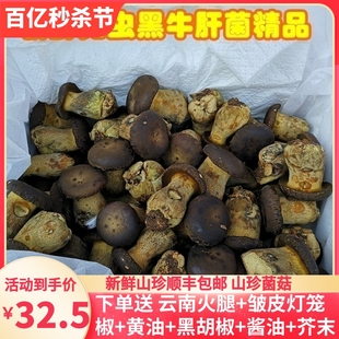 新鲜黑牛肝菌1斤装云南种植非野生菌空运保障菌菇香菇美食
