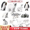 儿童认知仿真动物玩具，北极熊南极企鹅，静态实心动物模型塑胶摆件