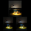 南美鱼缸灯夹灯雷龙专用观赏造景三湖原生缸，水草缸海缸射灯旋款