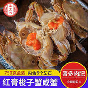 6个红膏呛蟹750g整只咸蟹炝蟹醉蟹即食韩国酱蟹 宁波梭子蟹腌蟹