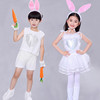 六一男女儿童小兔子演出服动物，表演服舞台，服装幼儿小白兔子舞蹈裙