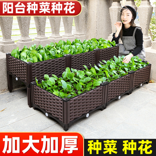 种植箱种菜盆专用箱阳台楼顶花箱花盆蔬菜家用盆塑料长方形特大