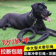 狗狗牵引绳大中型犬遛狗，绳子金毛拉布拉多德牧，狗链子项圈宠物用品