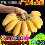 广西新鲜小米蕉带箱10斤香蕉，芭蕉小鸡蕉新鲜香蕉，水果无催熟现摘
