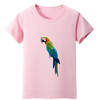 鸟短袖t恤衫鹦鹉粉色衣，服装男童绿色湖蓝色女孩子套头儿童装圆领