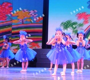六一儿童演出服装星星舞蹈服女童公主裙蓝色蓬蓬裙表演服纱裙