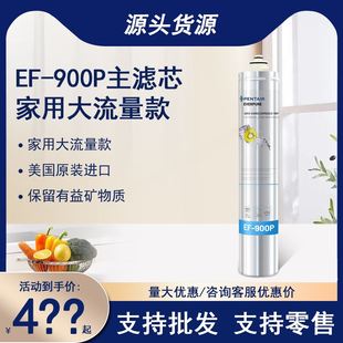 滨特尔爱惠浦EF-900P净水器滤芯 龙头过滤芯 家用直饮过滤器滤芯