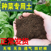 阳台种菜土壤营养土通用型，种植土花土泥土，黑土有机肥料蔬菜专用土