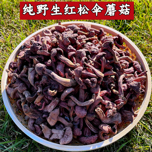 野生松树伞蘑菇红蘑菇丁干红(丁，干红)松蘑，鸡血肉蘑菌菇炖煲汤干货东北特产