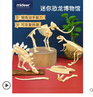 mideer弥鹿儿童迷你恐龙博物馆考古霸王恐龙骨架模型摆件三角龙3+