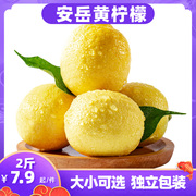 四川安岳黄柠檬5斤3斤 当季新鲜水果皮薄多汁奶茶桔青金9