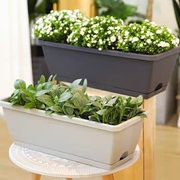 种菜专用箱长方形菜苗种菜盆阳台塑料种植箱家庭室内蔬菜花盆菜盆