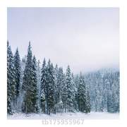 写真室内森林布小红书拍照?背室内雪山摄影背景冬天拍照雪景