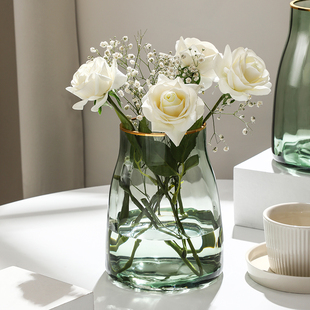 玻璃花瓶家用高颜值鲜花专用花瓶摆件轻奢客厅富贵竹水培水养花瓶