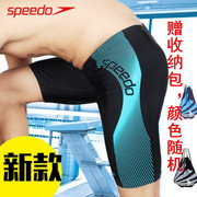 speedo泳裤男五分速比，涛速干时尚及膝抗氯泳衣男平角游泳裤大码
