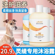 灵缇犬专用狗狗沐浴露小狗，洗澡沐浴液除臭留香宠物洗护洗发水香波